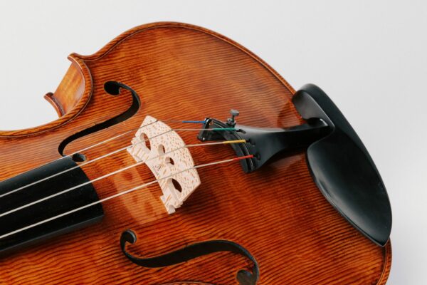 Rondo Gold Viola RG200 - Thomastik-Infeld