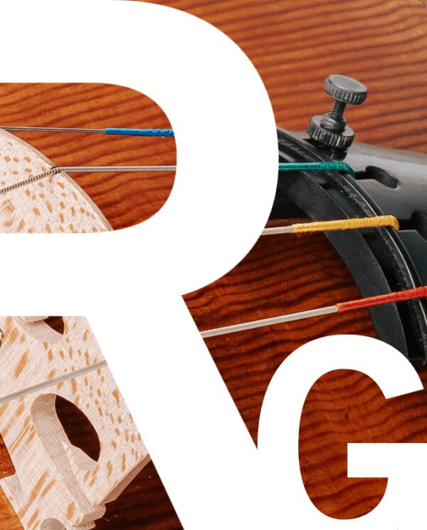 Rondo Gold Viola RG200 - Thomastik-Infeld
