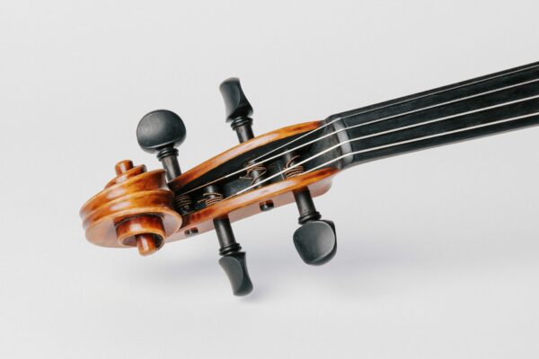 Rondo Gold Viola RG200 - Thomastik-Infeld