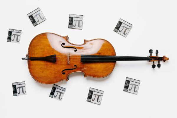Peter Infeld Violoncello PI400 - Thomastik-Infeld